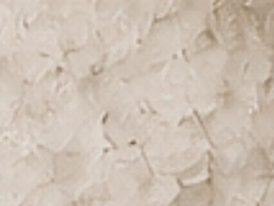 Venetian plaster feature wall finish with soft marble-like movement